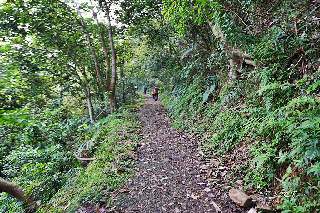 中山亭,中山亭盪鞦韆,中山步道,宜蘭三清宮,宜蘭冬山盪鞦韆