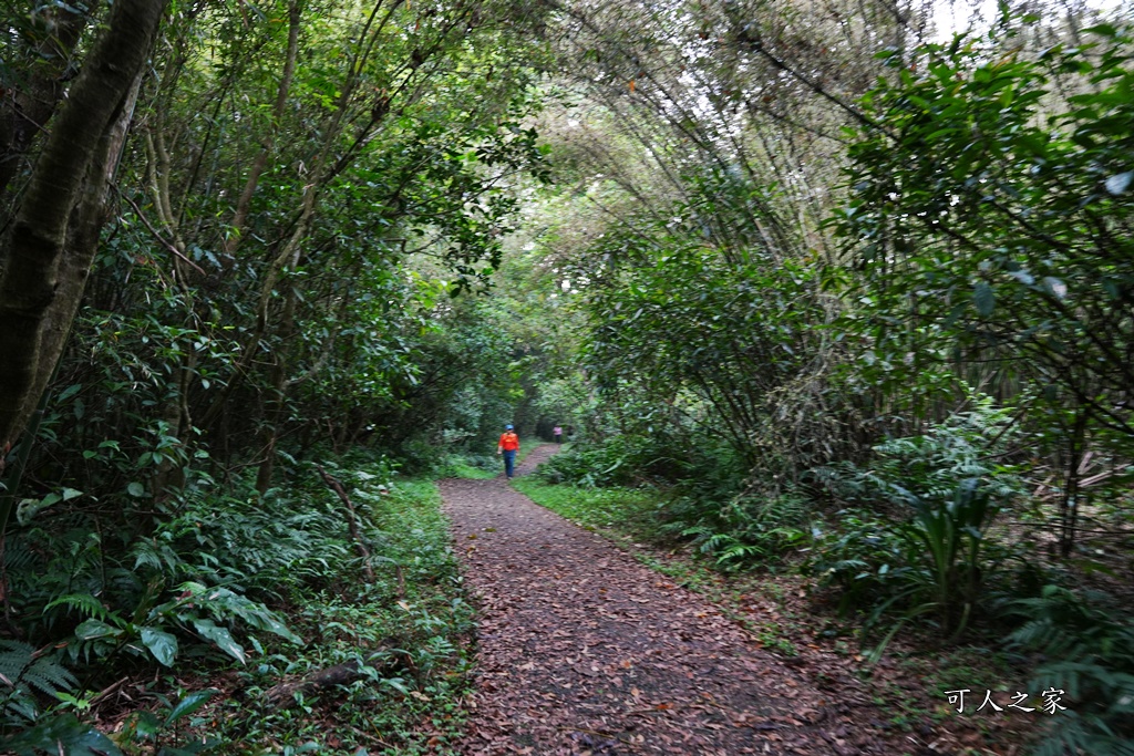 中山亭,中山亭盪鞦韆,中山步道,宜蘭三清宮,宜蘭冬山盪鞦韆