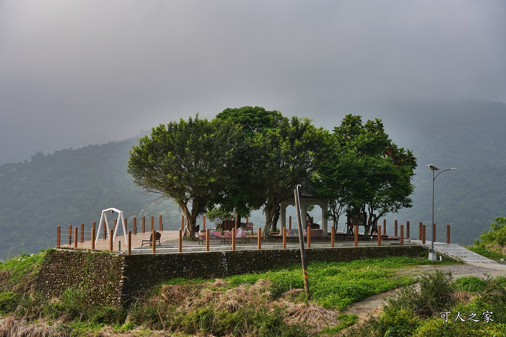 中山茶園步道