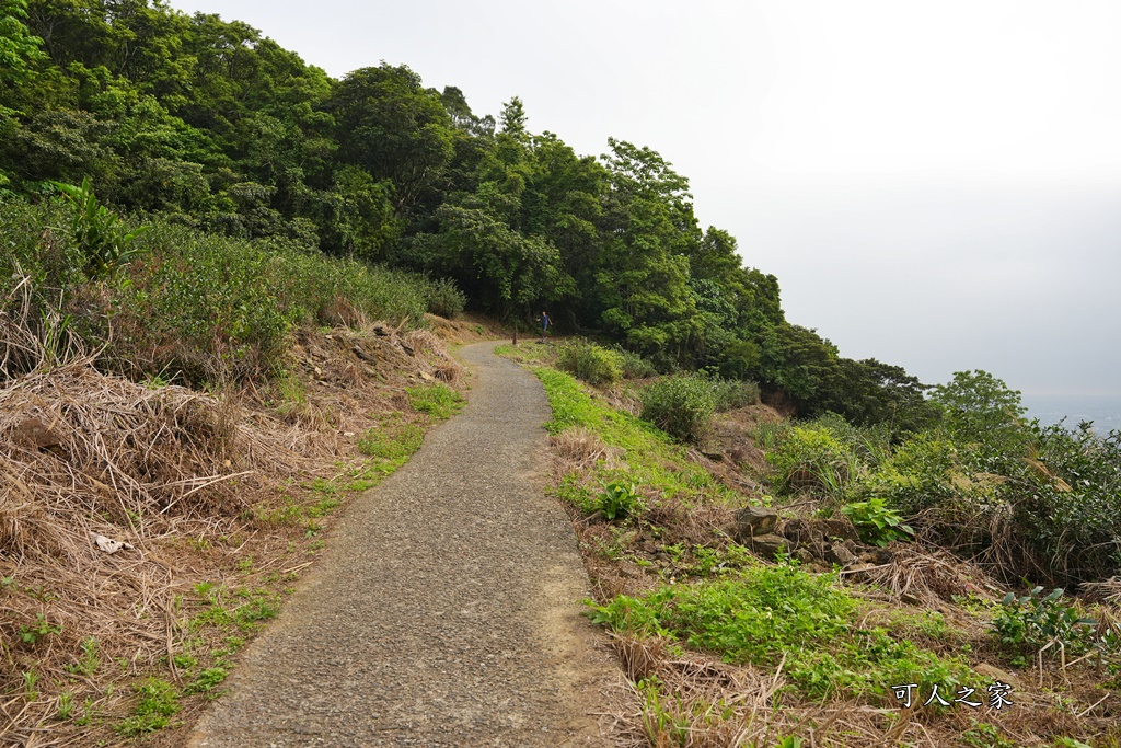 中山亭,中山亭盪鞦韆,中山步道,宜蘭三清宮,宜蘭冬山盪鞦韆