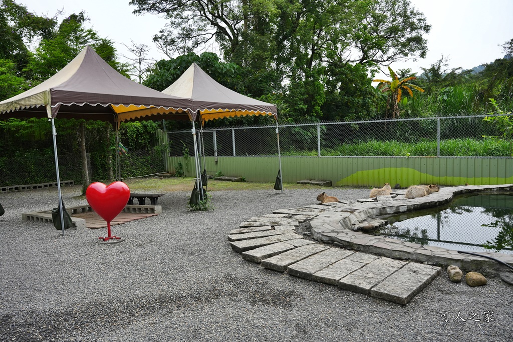 冬山一日遊怎麼玩,冬山景點,冬山農場,宜蘭冬山戶外景點,心花鹿FUN,心花鹿放