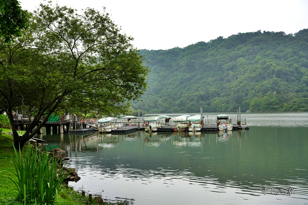 冬山一日遊怎麼玩,冬山景點,冬山農場,宜蘭冬山戶外景點,心花鹿FUN,心花鹿放