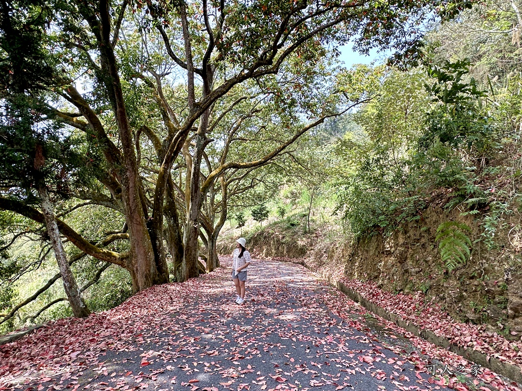 貓囒山步道