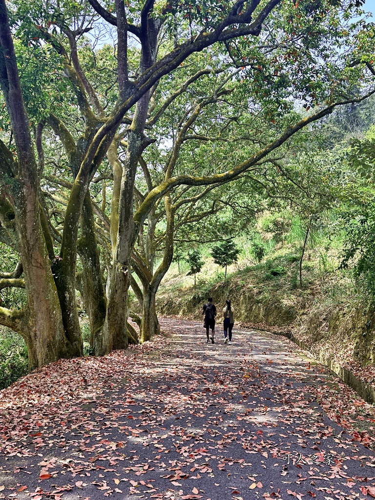 貓囒山步道