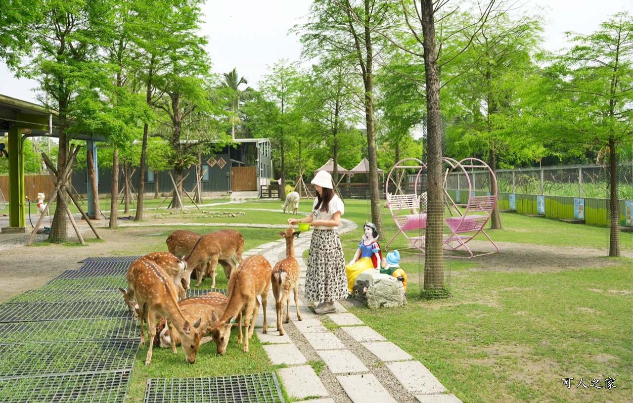 冬山一日遊怎麼玩,冬山景點,冬山農場,宜蘭冬山戶外景點,心花鹿FUN,心花鹿放