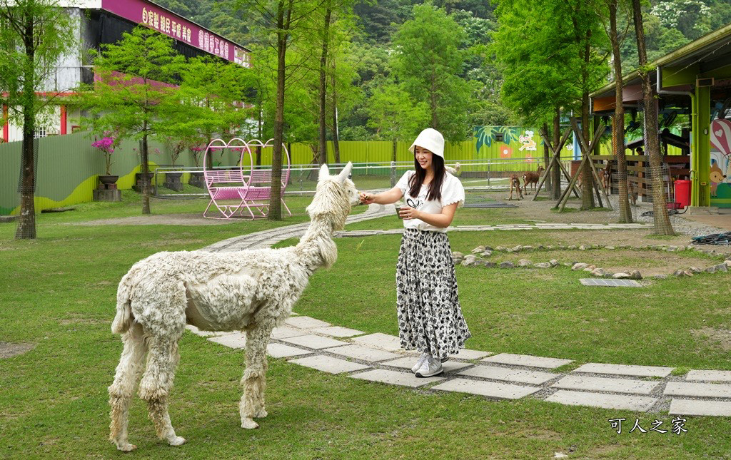 冬山一日遊怎麼玩,冬山景點,冬山農場,宜蘭冬山戶外景點,心花鹿FUN,心花鹿放