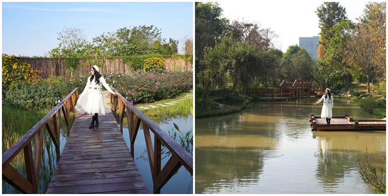 古典玫瑰花園花園,台南後壁,台南雅聞第五座觀光工廠,後壁雅聞,法式玫瑰花園,熱帶雨林森林,脈輪玫瑰花園,雅聞宿根玫瑰療癒森林觀光工廠,雅聞湖濱療癒森林觀光工廠,雅聞試營運 @可人之家