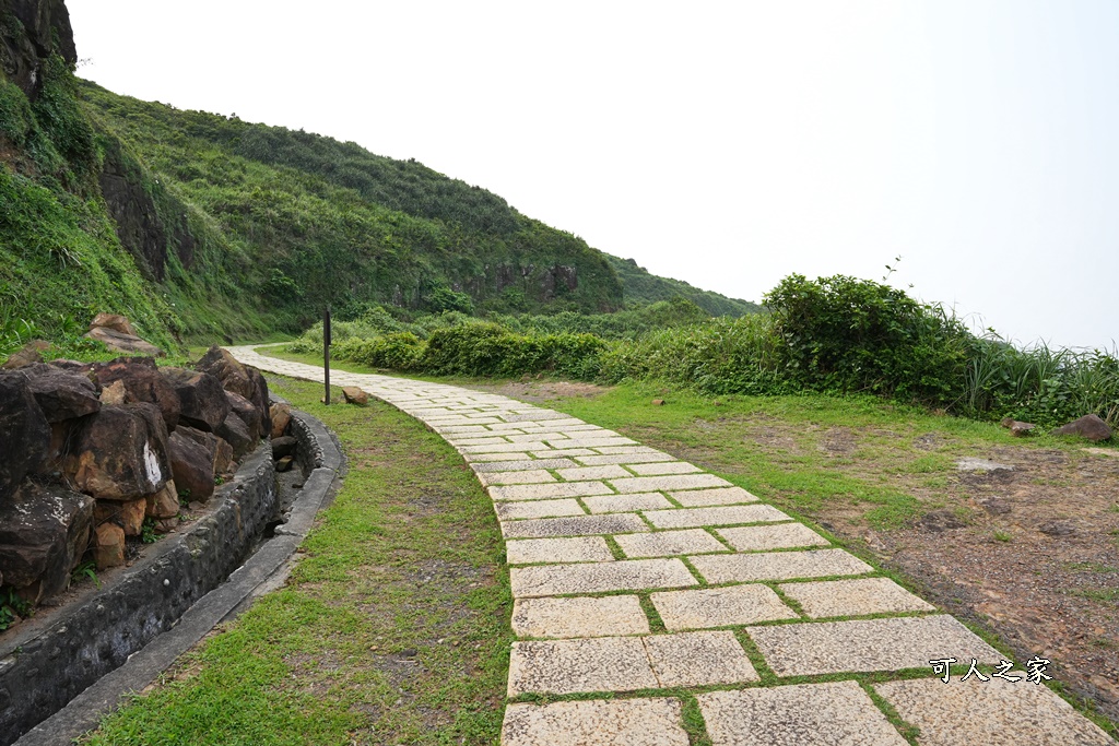 龍洞灣岬步道,龍洞灣岬步道怎麼去,龍洞灣岬步道要走多久