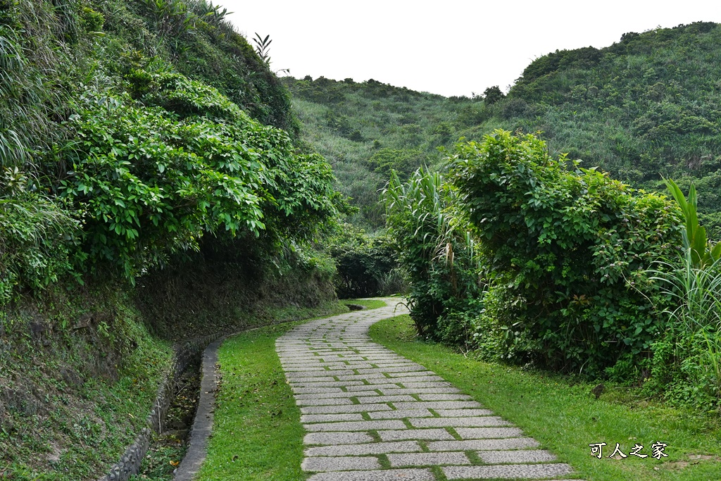 龍洞灣岬步道,龍洞灣岬步道怎麼去,龍洞灣岬步道要走多久