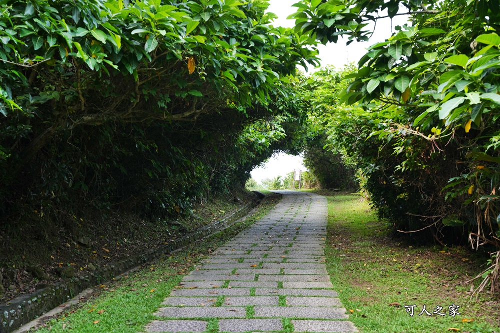 龍洞灣岬步道,龍洞灣岬步道怎麼去,龍洞灣岬步道要走多久