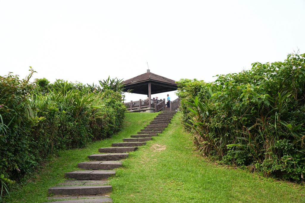 龍洞灣岬步道,龍洞灣岬步道怎麼去,龍洞灣岬步道要走多久