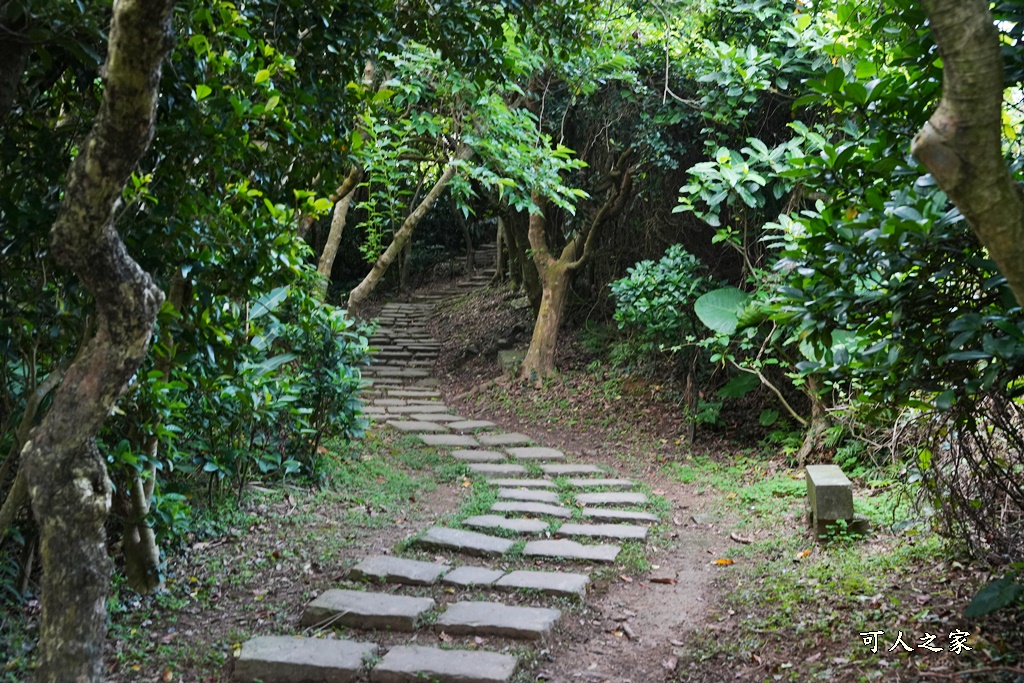 龍洞灣岬步道,龍洞灣岬步道怎麼去,龍洞灣岬步道要走多久