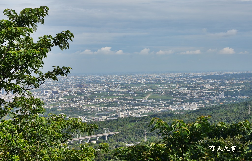 員林寵物運動公園,員獅亭,安徽手工包子,彰化藤山步道,愛玉奾子,藤山步道必吃,藤山步道有什麼必吃美食