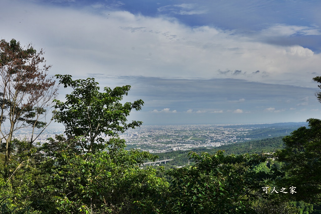 員林寵物運動公園,員獅亭,安徽手工包子,彰化藤山步道,愛玉奾子,藤山步道必吃,藤山步道有什麼必吃美食