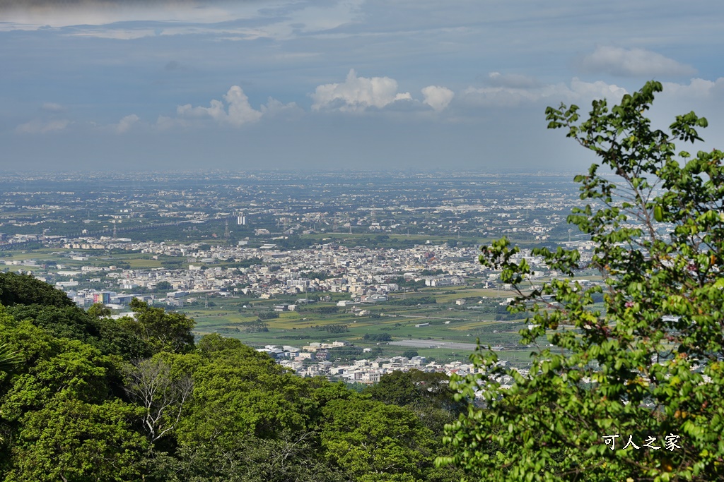 員林寵物運動公園,員獅亭,安徽手工包子,彰化藤山步道,愛玉奾子,藤山步道必吃,藤山步道有什麼必吃美食