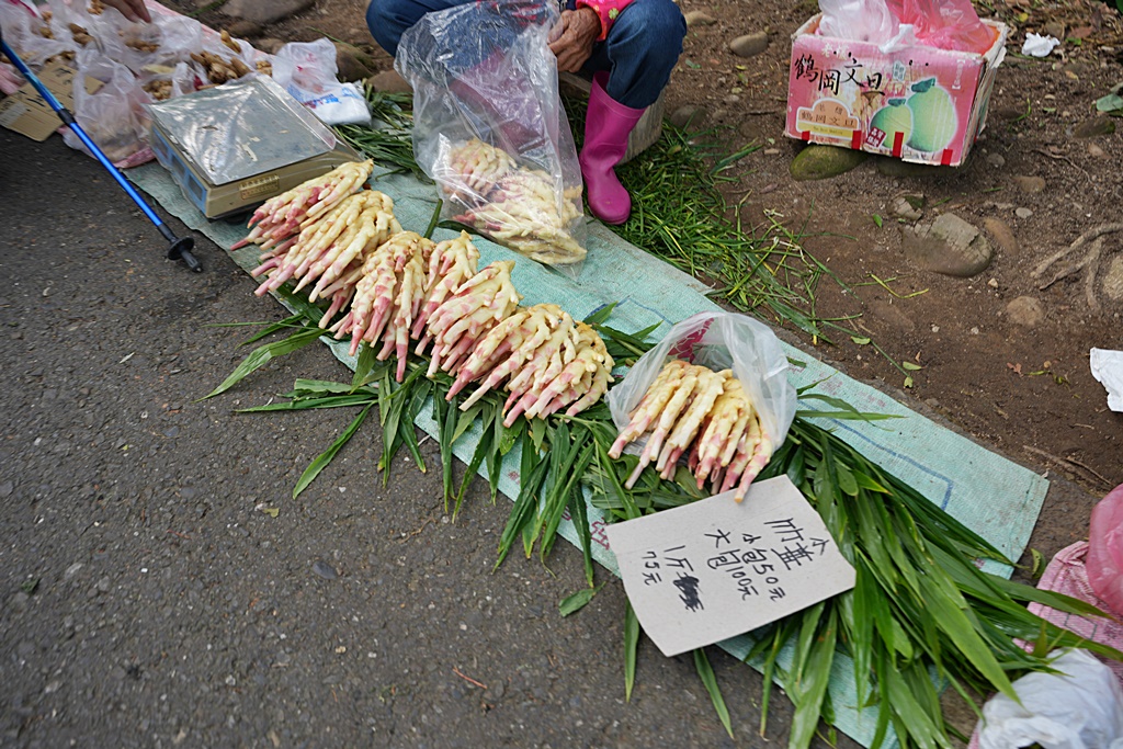 員林寵物運動公園,員獅亭,安徽手工包子,彰化藤山步道,愛玉奾子,藤山步道必吃,藤山步道有什麼必吃美食