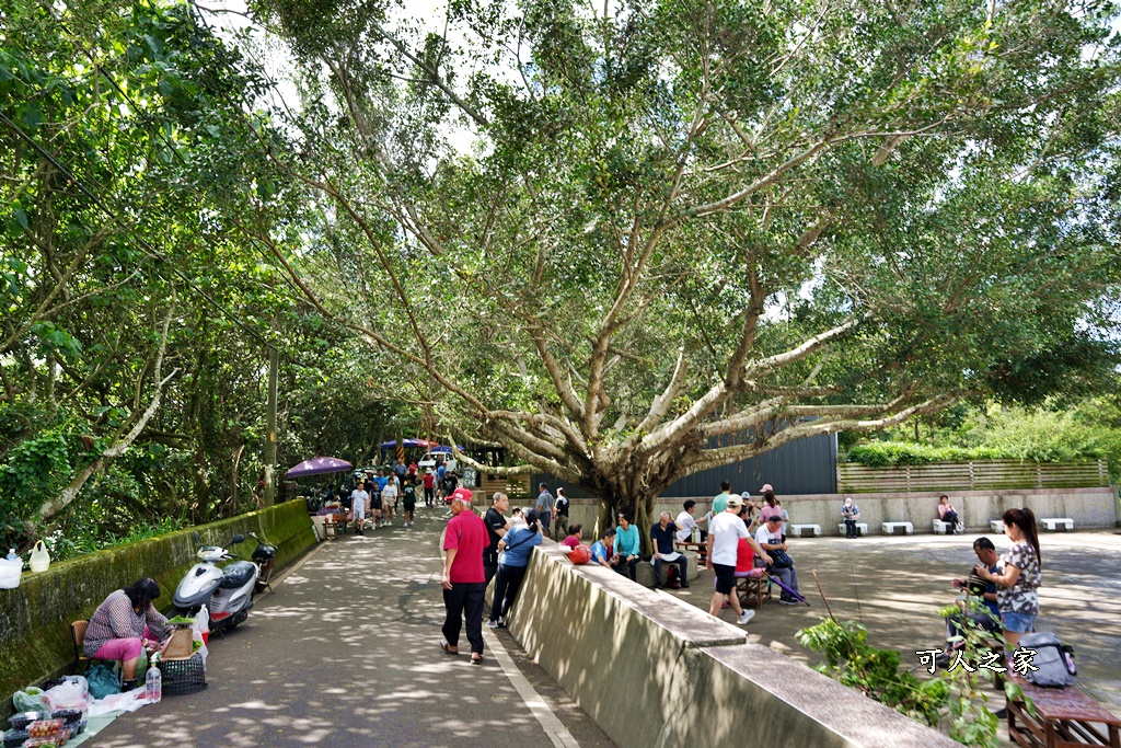 員林寵物運動公園,員獅亭,安徽手工包子,彰化藤山步道,愛玉奾子,藤山步道必吃,藤山步道有什麼必吃美食