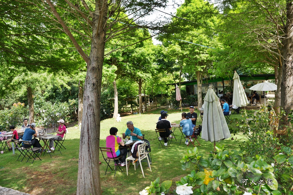 員林寵物運動公園,員獅亭,安徽手工包子,彰化藤山步道,愛玉奾子,藤山步道必吃,藤山步道有什麼必吃美食