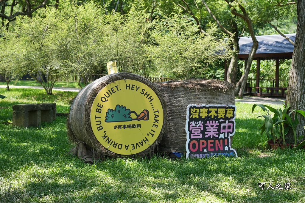 嘉義旺萊山大草原,沒事不要草,觸口牛埔仔愛情大草原(阿里山18號愛情絲路)