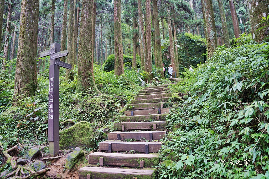 阿里山頂湖步道（頂湖自然生態區）登山口,頂湖步道（頂湖自然生態區）,頂湖自然生態區