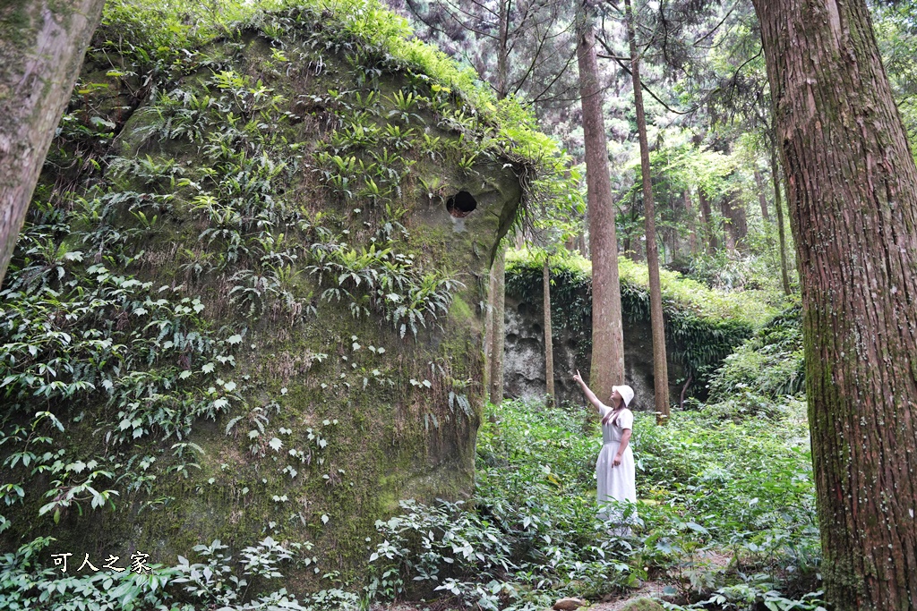 阿里山頂湖步道（頂湖自然生態區）登山口,頂湖步道（頂湖自然生態區）,頂湖自然生態區