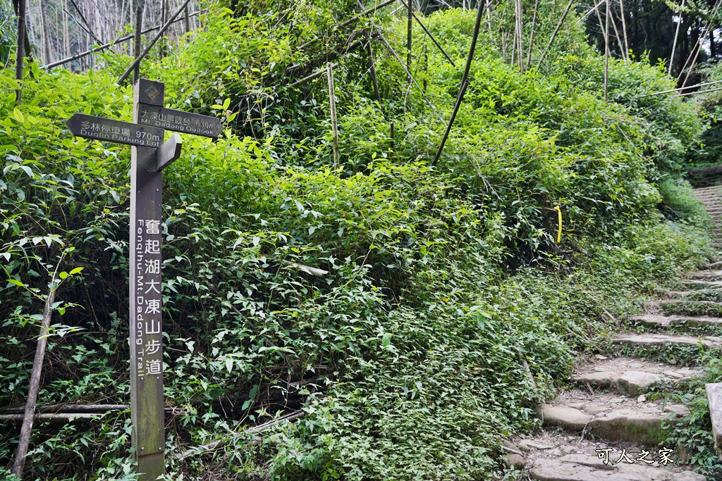 阿里山頂湖步道（頂湖自然生態區）登山口,頂湖步道（頂湖自然生態區）,頂湖自然生態區