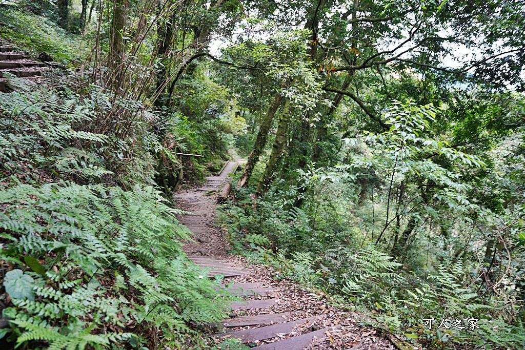 阿里山頂湖步道（頂湖自然生態區）登山口,頂湖步道（頂湖自然生態區）,頂湖自然生態區