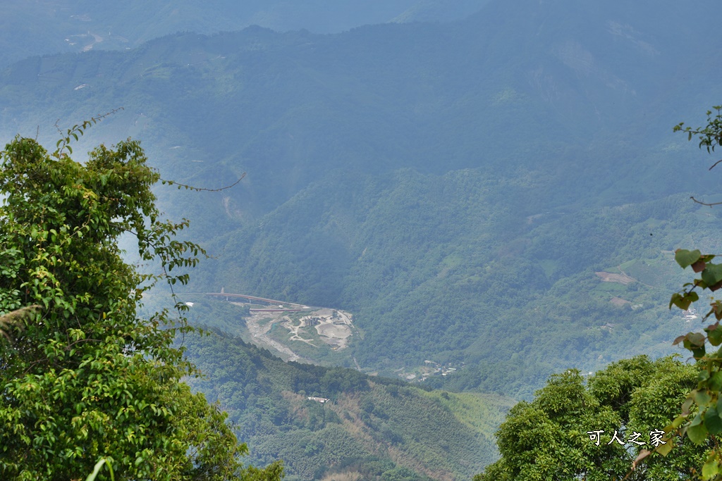 阿里山頂湖步道（頂湖自然生態區）登山口,頂湖步道（頂湖自然生態區）,頂湖自然生態區