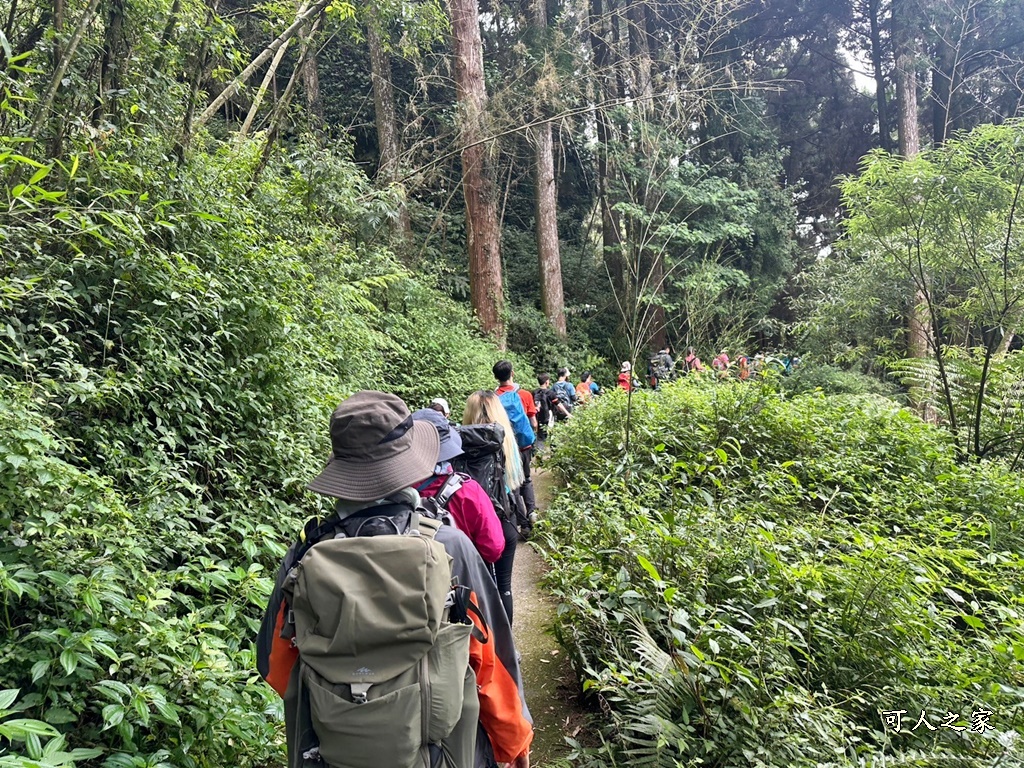 阿里山頂湖步道（頂湖自然生態區）登山口,頂湖步道（頂湖自然生態區）,頂湖自然生態區