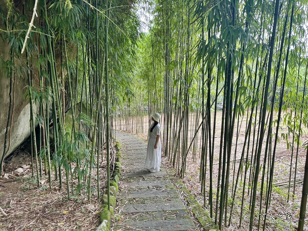 阿里山頂湖步道（頂湖自然生態區）登山口,頂湖步道（頂湖自然生態區）,頂湖自然生態區