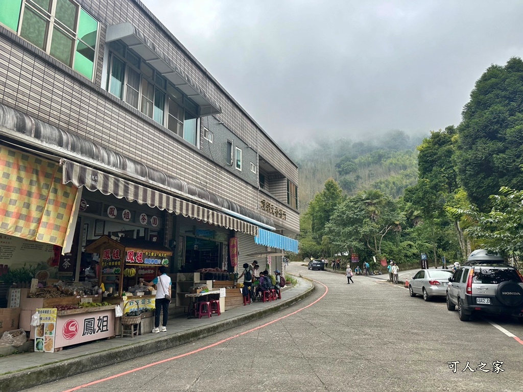 阿里山頂湖步道（頂湖自然生態區）登山口,頂湖步道（頂湖自然生態區）,頂湖自然生態區