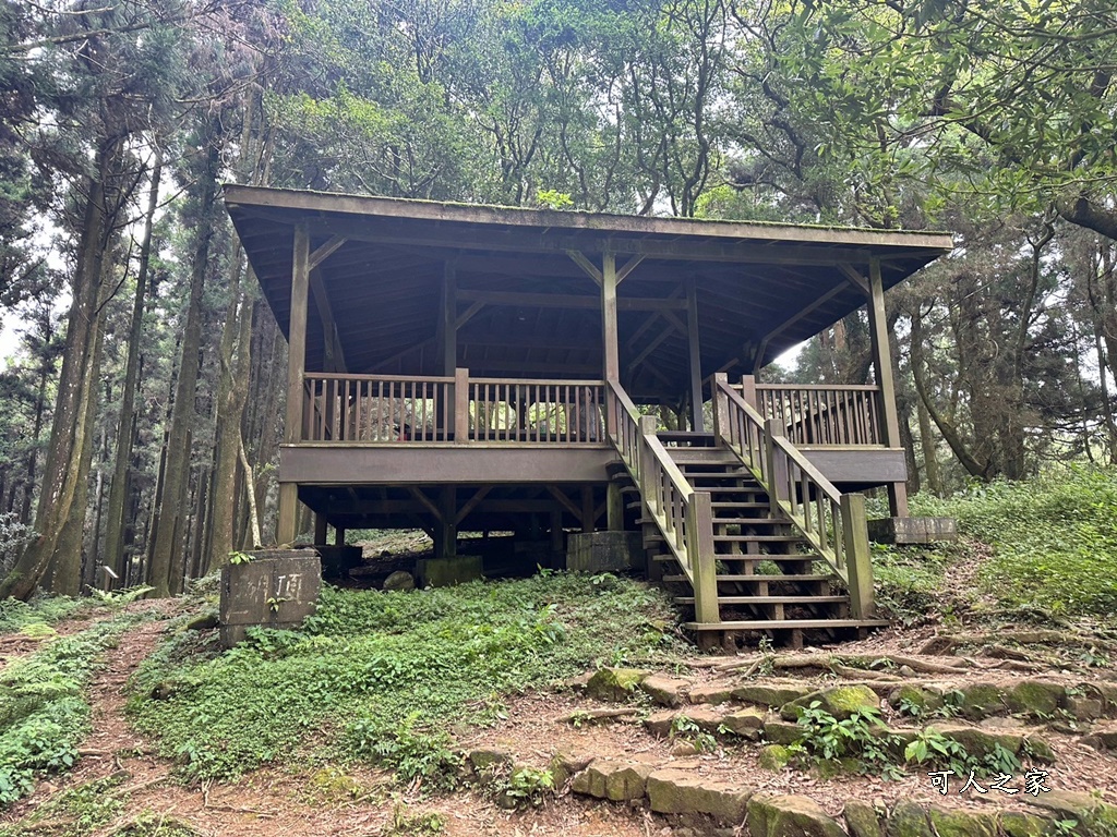 阿里山頂湖步道（頂湖自然生態區）登山口,頂湖步道（頂湖自然生態區）,頂湖自然生態區