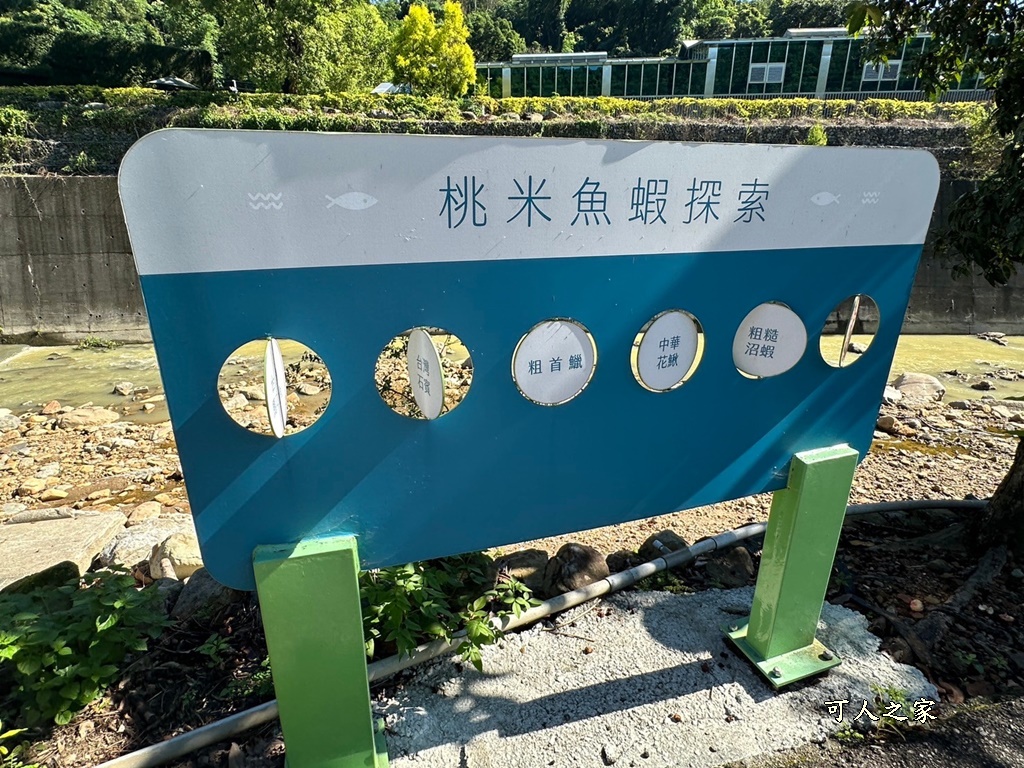 南投優質部落客,南投埔里景點,南投埔里順遊景點,埔里要去哪裡玩,桃米早午餐,桃米親水公園