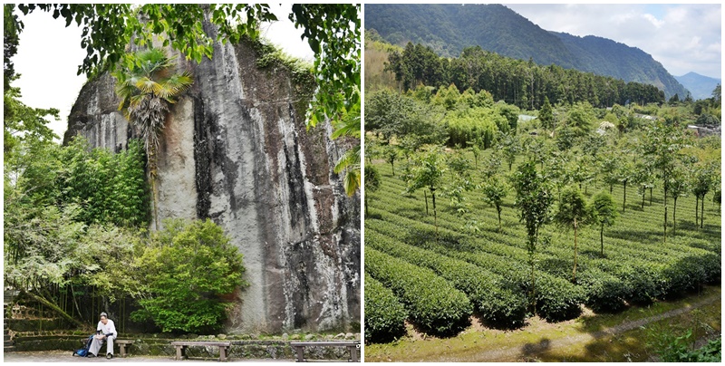 阿里山頂湖步道（頂湖自然生態區）登山口,頂湖步道（頂湖自然生態區）,頂湖自然生態區 @可人之家