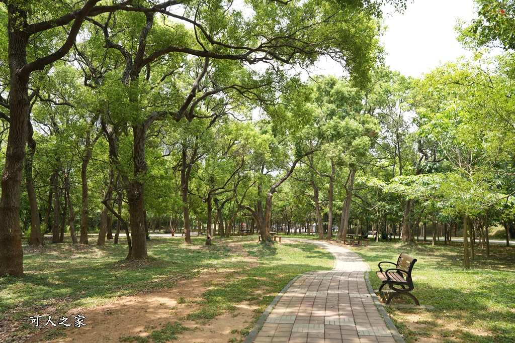 中科公園戲水區,台中潭雅神綠園道