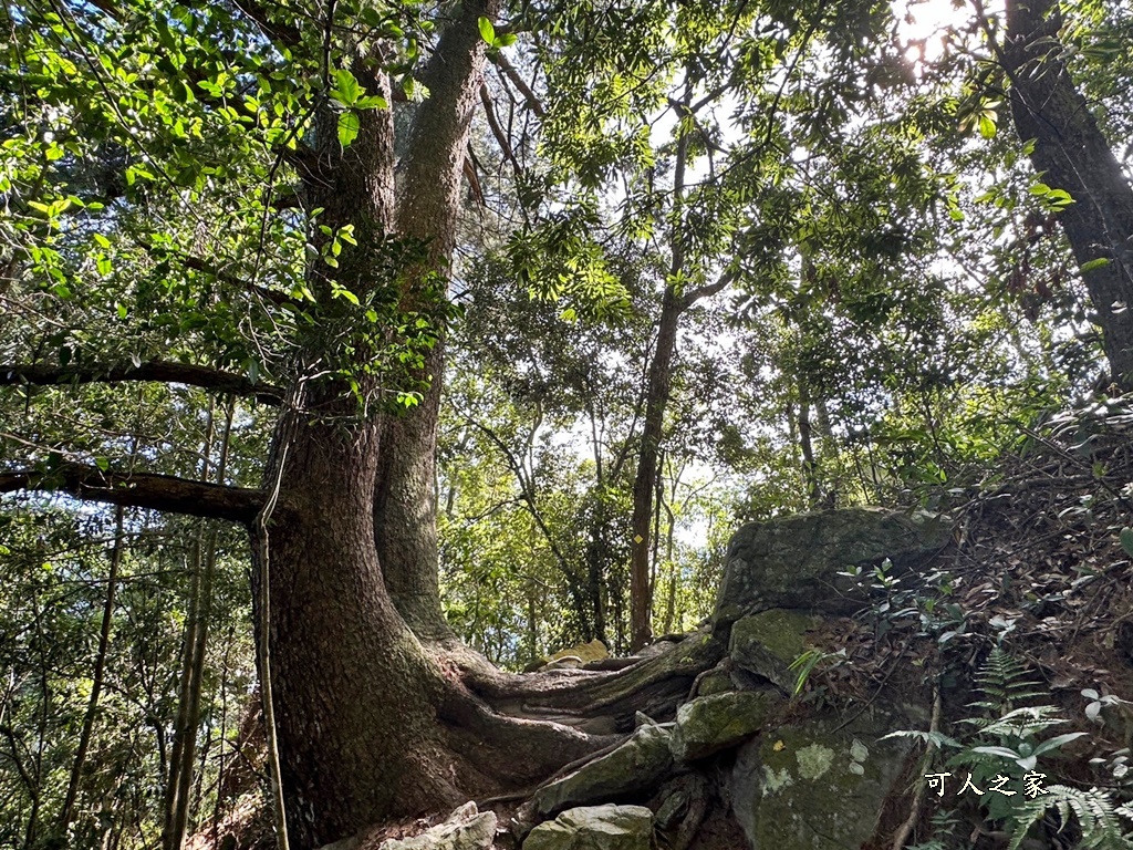 -唐麻丹山步道-蝴蝶谷瀑布,-唐麻丹山步道-蝴蝶谷瀑布-松鶴登山口,唐麻丹山步道,蝴蝶谷瀑布