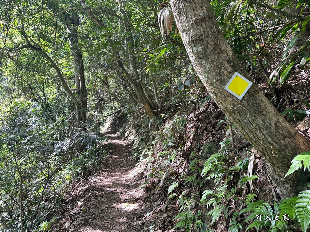 -唐麻丹山步道-蝴蝶谷瀑布,-唐麻丹山步道-蝴蝶谷瀑布-松鶴登山口,唐麻丹山步道,蝴蝶谷瀑布