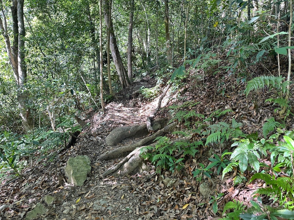 -唐麻丹山步道-蝴蝶谷瀑布,-唐麻丹山步道-蝴蝶谷瀑布-松鶴登山口,唐麻丹山步道,蝴蝶谷瀑布