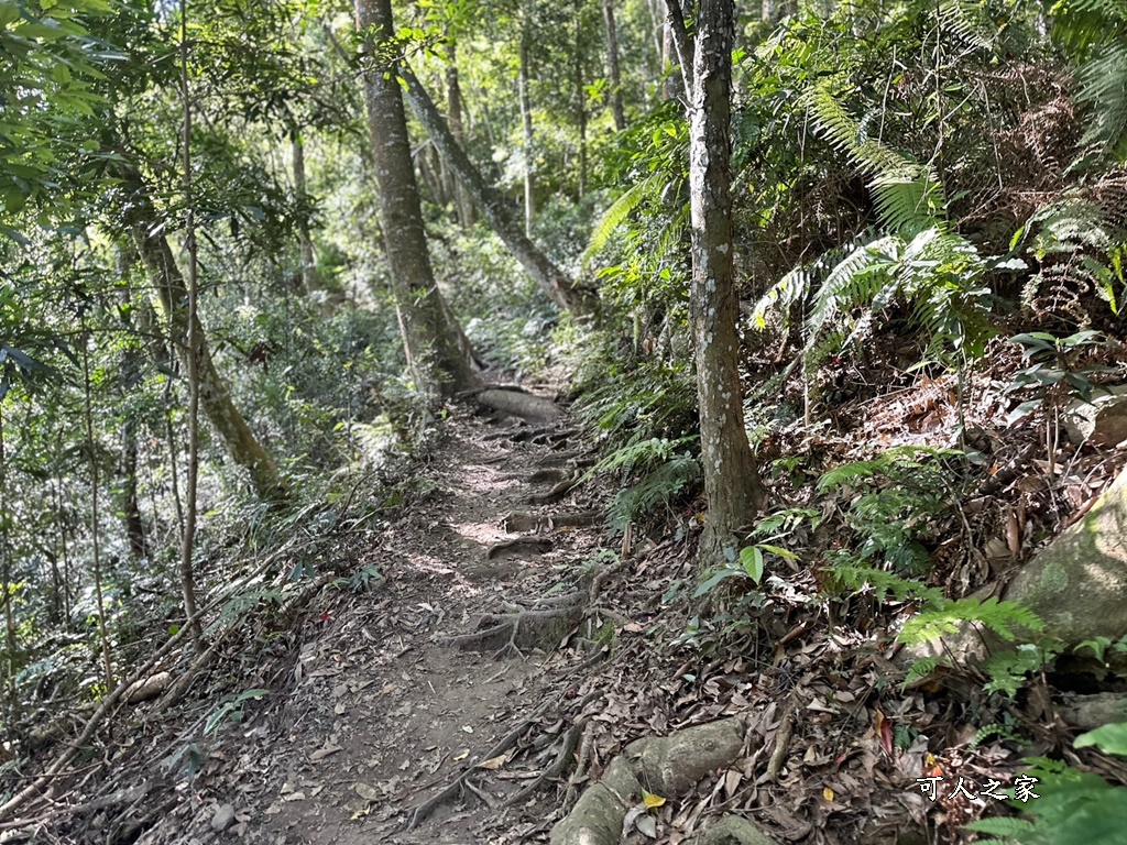 -唐麻丹山步道-蝴蝶谷瀑布,-唐麻丹山步道-蝴蝶谷瀑布-松鶴登山口,唐麻丹山步道,蝴蝶谷瀑布