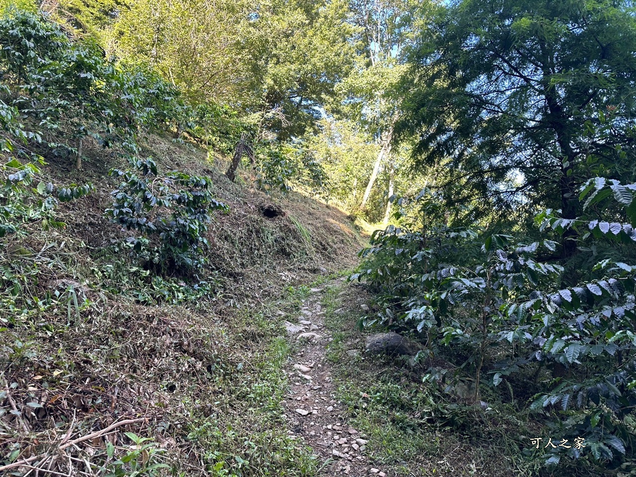 -唐麻丹山步道-蝴蝶谷瀑布,-唐麻丹山步道-蝴蝶谷瀑布-松鶴登山口,唐麻丹山步道,蝴蝶谷瀑布