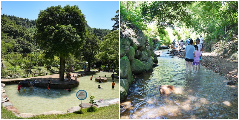 延伸閱讀：埔里【岸境濕地莊園】免費入園！親子戲水池前有小溪後有綠林，園區生態豐富、環境優美