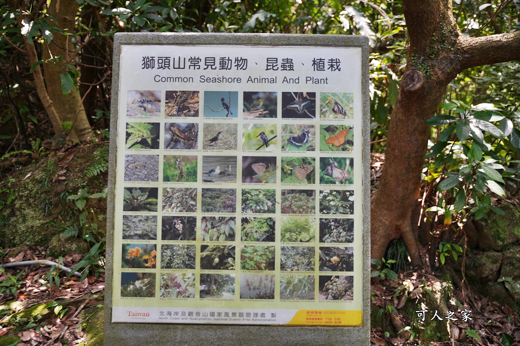 獅頭山公園,獨臺雙嶼