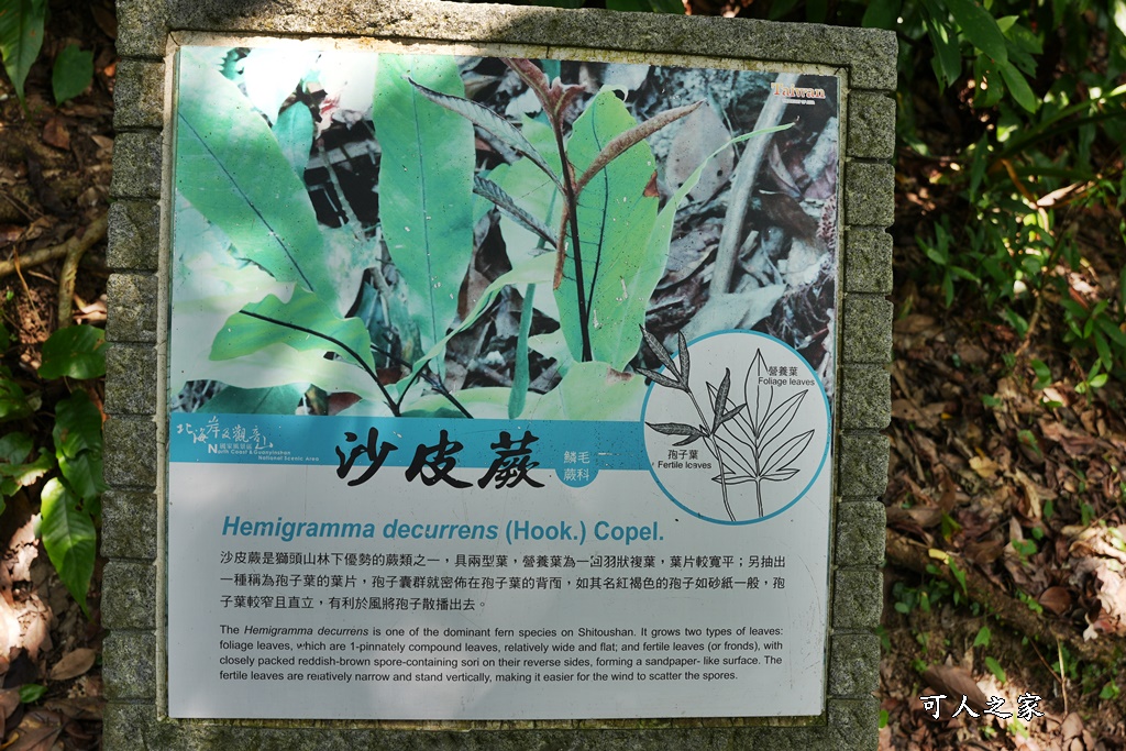 獅頭山公園,獨臺雙嶼