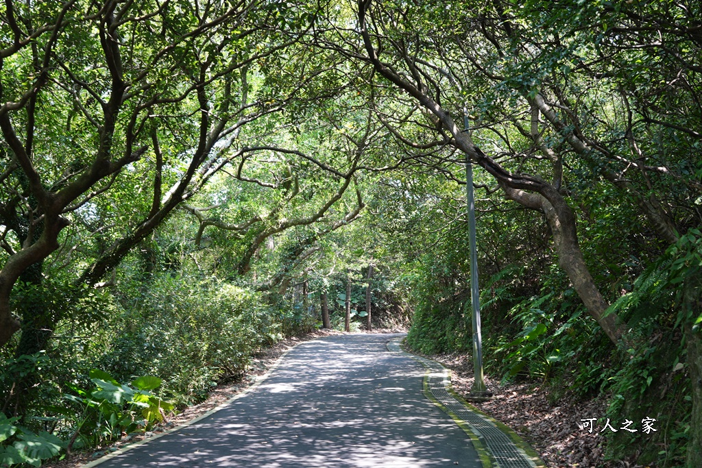 獅頭山公園