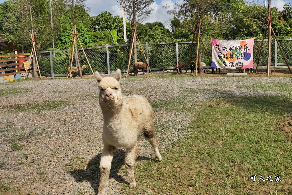 萌寵村親子樂園