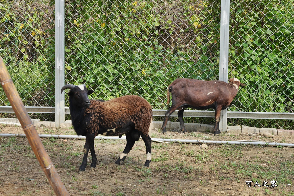 萌寵村親子樂園