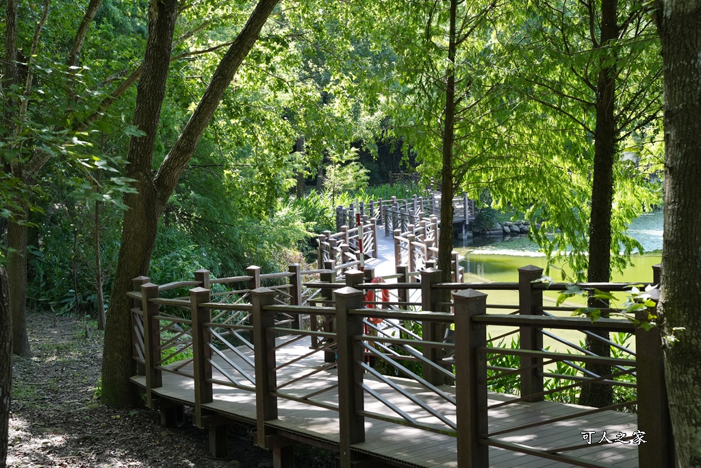 車埕一日遊,車站火車站,集集車站