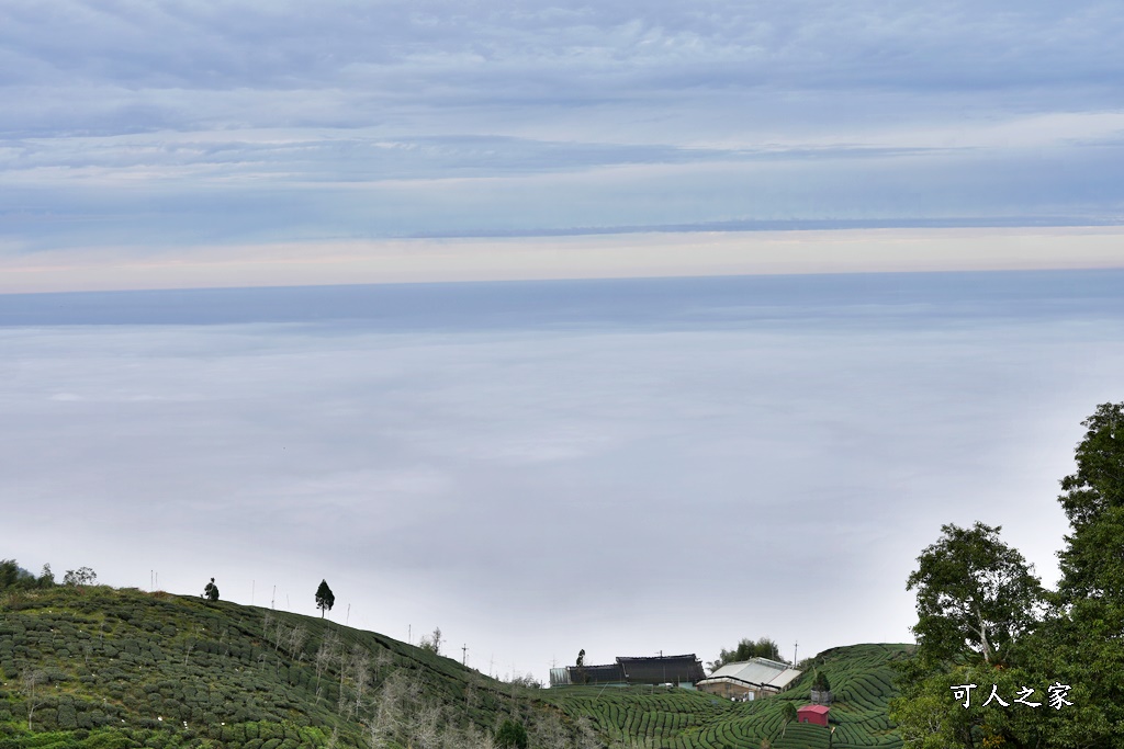 大崙山觀景台,鹿谷雲海季