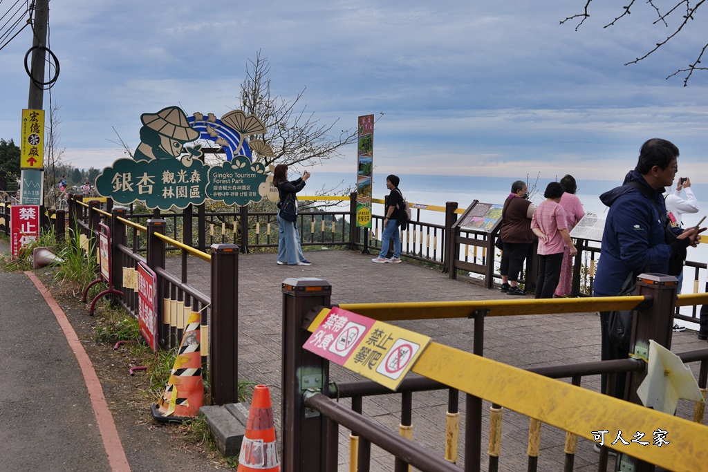 大崙山觀景臺