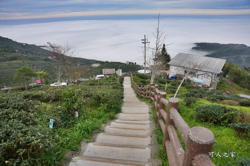 大崙山觀景台,鹿谷雲海季